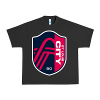Pigment Black st louis city Urban Heavy Tee - linhVisuals
