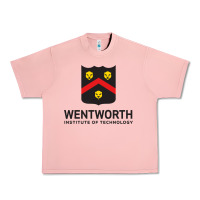 Salmon wentworth standard Urban Heavy Tee - linhVisuals