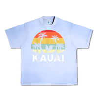 Grape Ice kauai hawaii chicken lover souvenir t shirt Urban Heavy Tee - linhVisuals