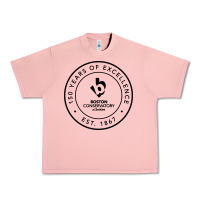 Salmon boston conservatory Urban Heavy Tee - linhVisuals