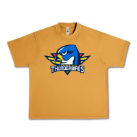 The Thunderbirds Springfield Urban Heavy Tee | Teevron
