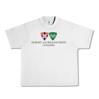 Lunar Rock hobart and william smith colleges Urban Heavy Tee - linhVisuals
