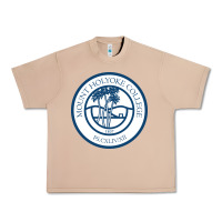 Burro mount holyoke college Urban Heavy Tee - linhVisuals