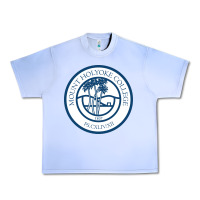 Grape Ice mount holyoke college Urban Heavy Tee - linhVisuals