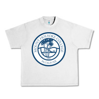 Lunar Rock mount holyoke college Urban Heavy Tee - linhVisuals