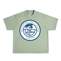 Oil Green mount holyoke college Urban Heavy Tee - linhVisuals