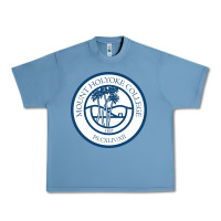 Pebble Blue mount holyoke college Urban Heavy Tee - linhVisuals