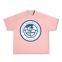 Salmon mount holyoke college Urban Heavy Tee - linhVisuals