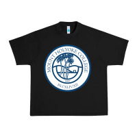 Black mount holyoke college Urban Heavy Tee - linhVisuals
