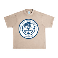French Oak mount holyoke college Urban Heavy Tee - linhVisuals