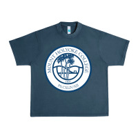 Mount Holyoke College Urban Heavy Tee | Teevron