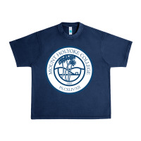 Navy mount holyoke college Urban Heavy Tee - linhVisuals