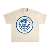 Sandshell mount holyoke college Urban Heavy Tee - linhVisuals