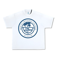 White mount holyoke college Urban Heavy Tee - linhVisuals