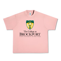 Salmon SUNY Brockport College Urban Heavy Tee - linhVisuals