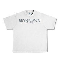 Lunar Rock Bryn Mawr College Urban Heavy Tee - linhVisuals