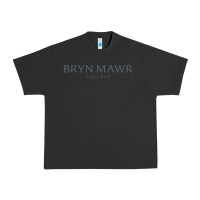 Bryn Mawr College Urban Heavy Tee | Teevron