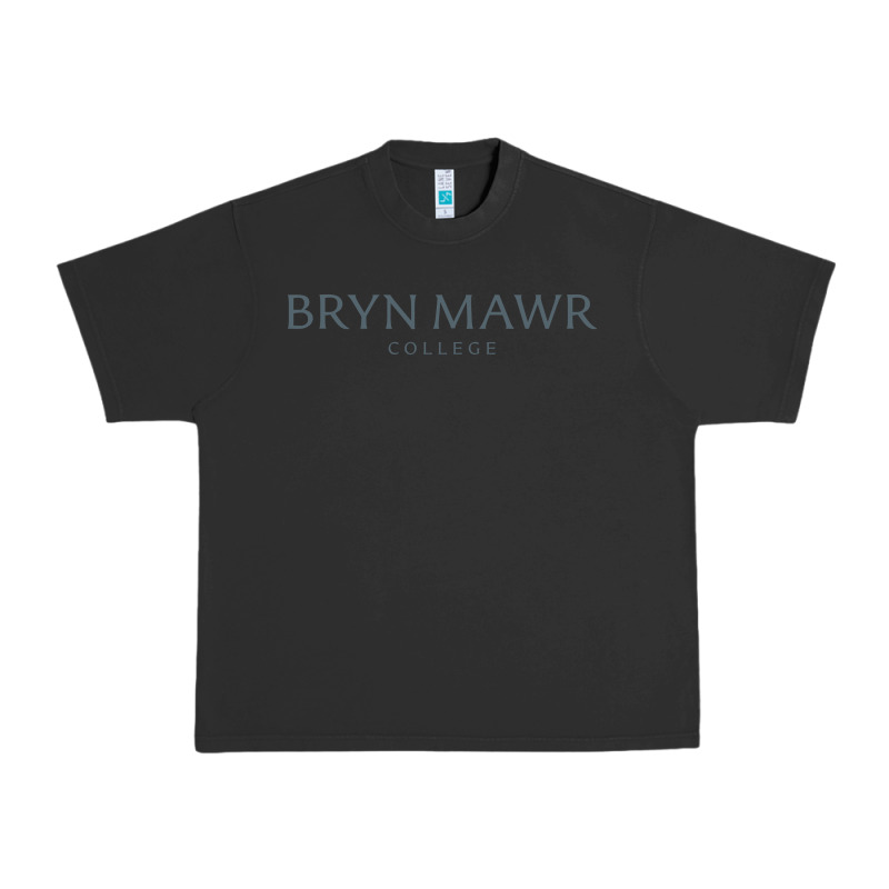 Bryn Mawr College Urban Heavy Tee by linhVisuals | Teevron