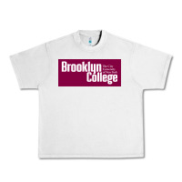 Lunar Rock Brooklyn College Urban Heavy Tee - linhVisuals
