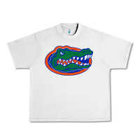 Lunar Rock go florida gators football Urban Heavy Tee - linhVisuals