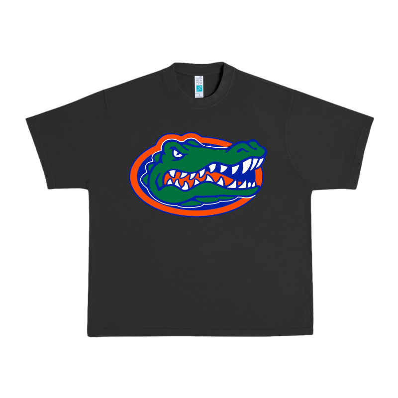 Go Florida Gators Football Urban Heavy Tee by linhVisuals | Teevron