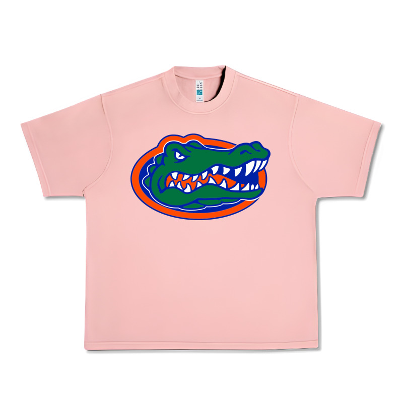 Go Florida Gators Football Urban Heavy Tee by linhVisuals | Teevron