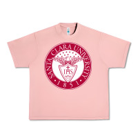 Salmon santa clara u Urban Heavy Tee - linhVisuals