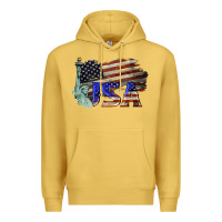 Antique Gold usa  statue of liberty Premium Hoodie - BarkalooDesign
