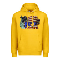 Usa  Statue Of Liberty Premium Hoodie | Teevron