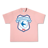 Salmon cardiff-city-fc Urban Heavy Tee - linhVisuals