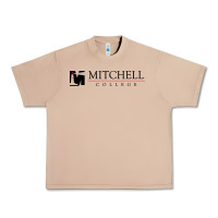 Burro Mitchell College Urban Heavy Tee - linhVisuals