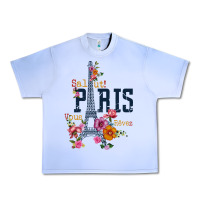 Grape Ice PARIS Urban Heavy Tee - linhVisuals