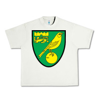 Pistachio norwich-fc Urban Heavy Tee - linhVisuals