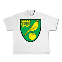 Lunar Rock norwich-fc Urban Heavy Tee - linhVisuals