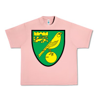 Salmon norwich-fc Urban Heavy Tee - linhVisuals