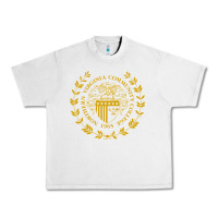 Lunar Rock northern virginia community college Urban Heavy Tee - linhVisuals
