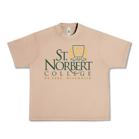 Burro St. Norbert College Urban Heavy Tee - linhVisuals