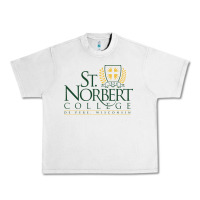 Lunar Rock St. Norbert College Urban Heavy Tee - linhVisuals