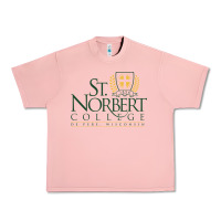 Salmon St. Norbert College Urban Heavy Tee - linhVisuals