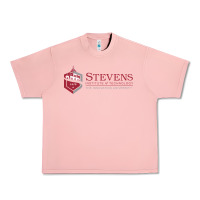 Salmon Stevens Institute of Technology Urban Heavy Tee - linhVisuals