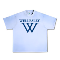 Grape Ice Wellesley College Urban Heavy Tee - linhVisuals