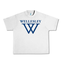 Lunar Rock Wellesley College Urban Heavy Tee - linhVisuals