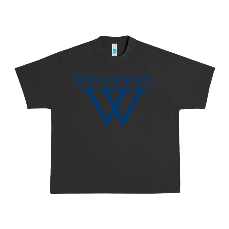 Wellesley College Urban Heavy Tee by linhVisuals | Teevron