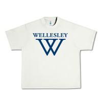 Pistachio Wellesley College Urban Heavy Tee - linhVisuals