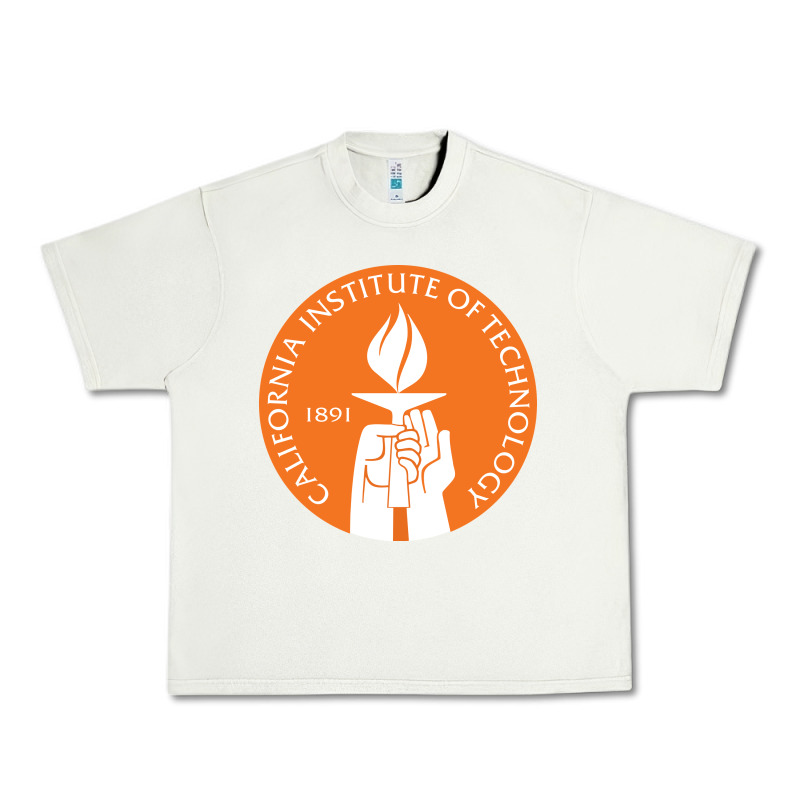 California Institute Of Technology Urban Heavy Tee by linhVisuals | Teevron