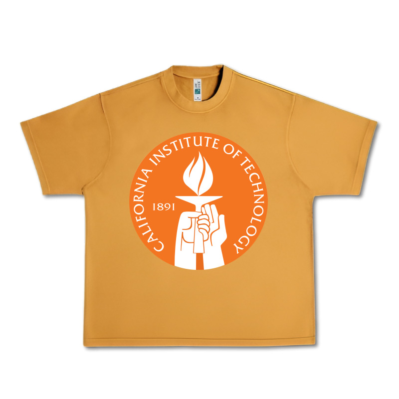 California Institute Of Technology Urban Heavy Tee by linhVisuals | Teevron