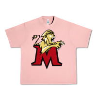 Salmon molloy merch Urban Heavy Tee - linhVisuals