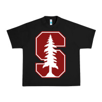 Black stanford cardinal Urban Heavy Tee - linhVisuals