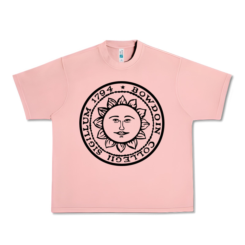 Bowdoin College X Urban Heavy Tee by linhVisuals | Teevron