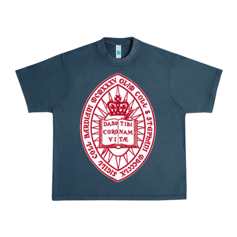 Bard College Urban Heavy Tee by linhVisuals | Teevron
